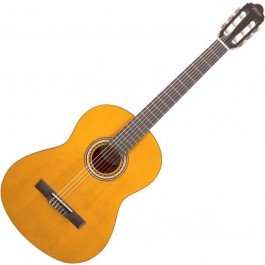  GUITAR VALENCIA  VC204H